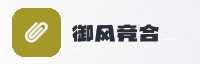 合作伙伴